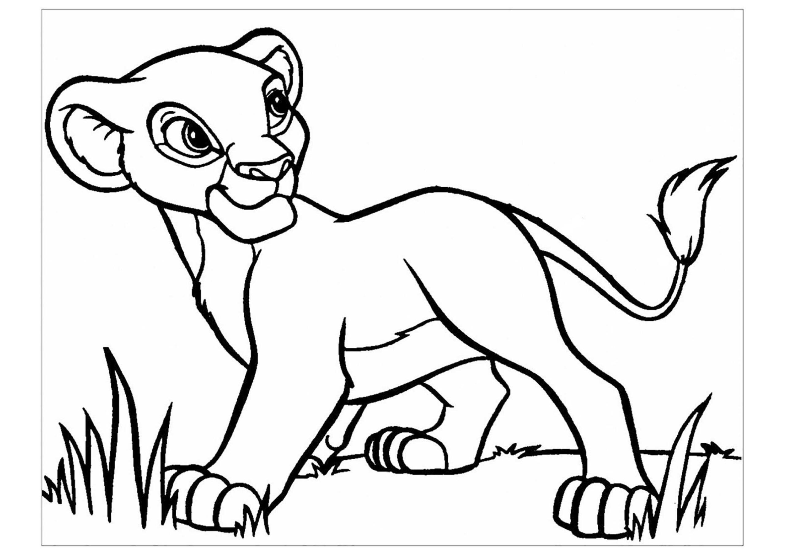 Simba Muda