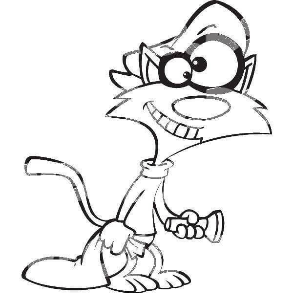 Perampok Kucing