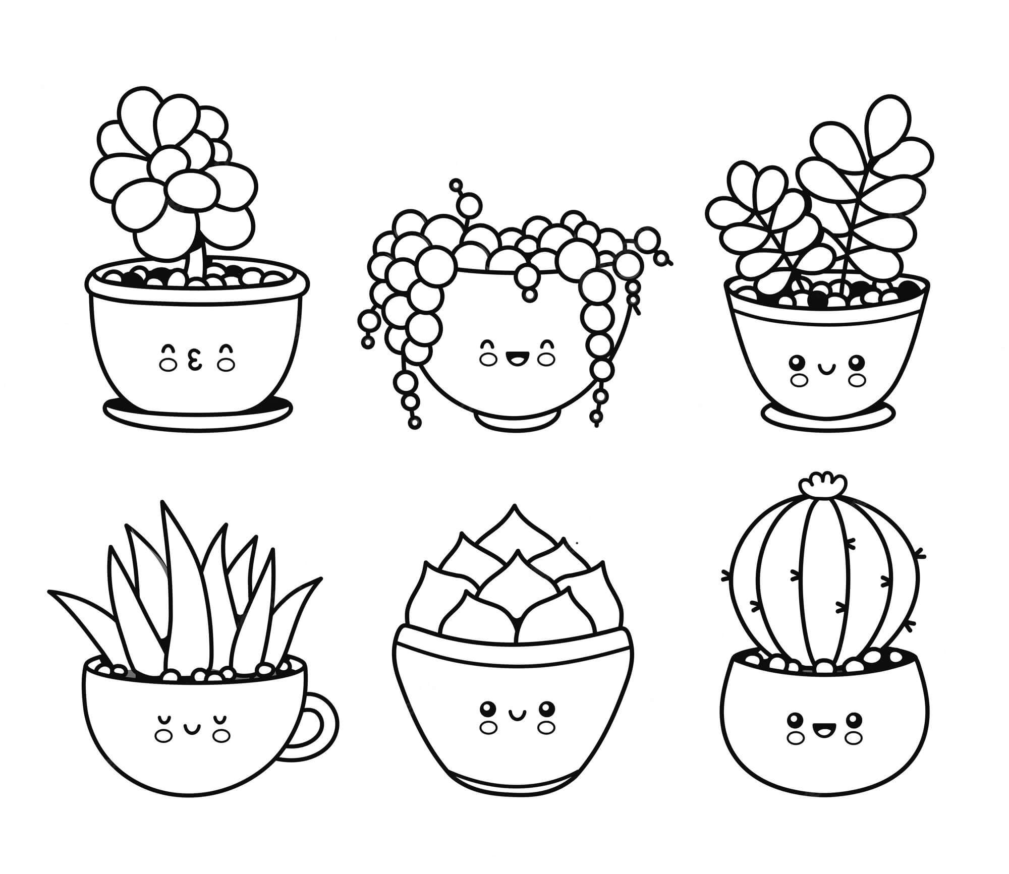 Enam Pot Kaktus Kawaii