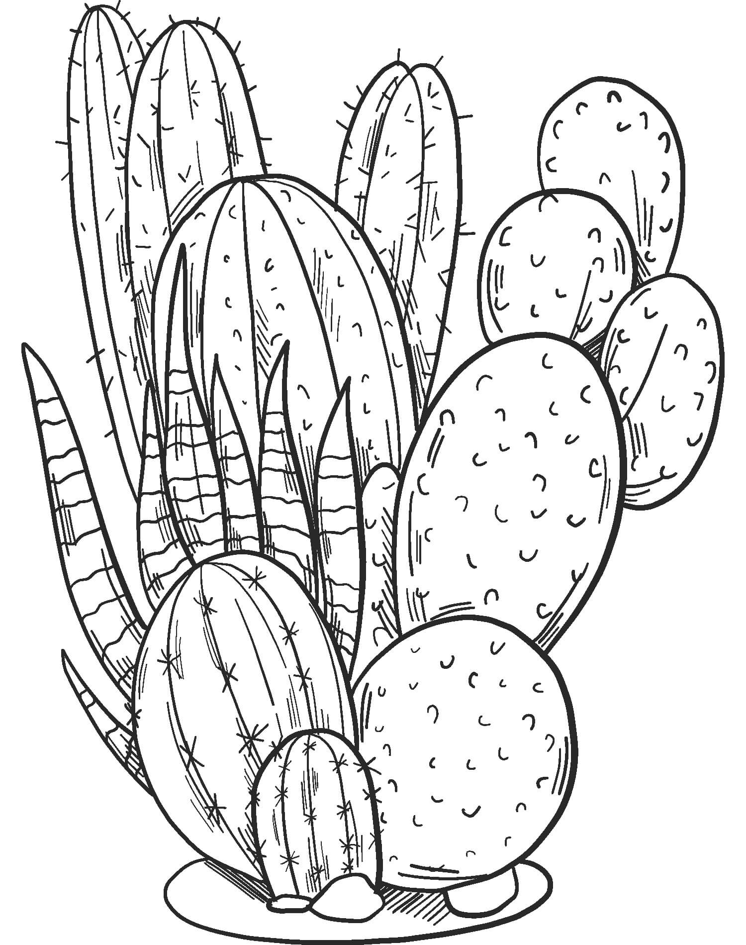 Kaktus Hebat