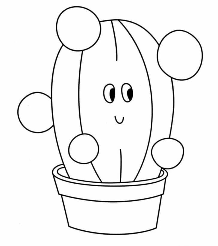 Kaktus Pot Besar
