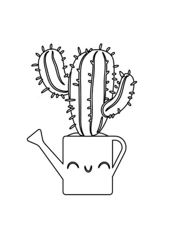 Kaktus Pot Lucu