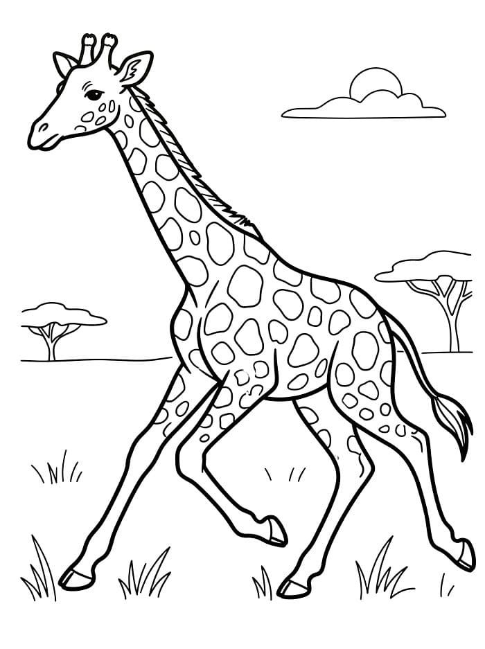 Jerapah Berlari