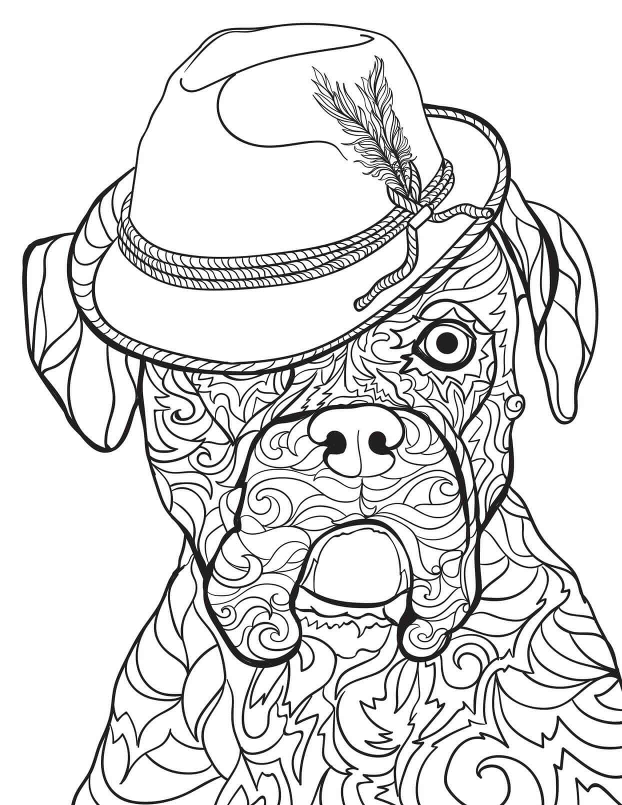 Anjing Mandala memakai Topi