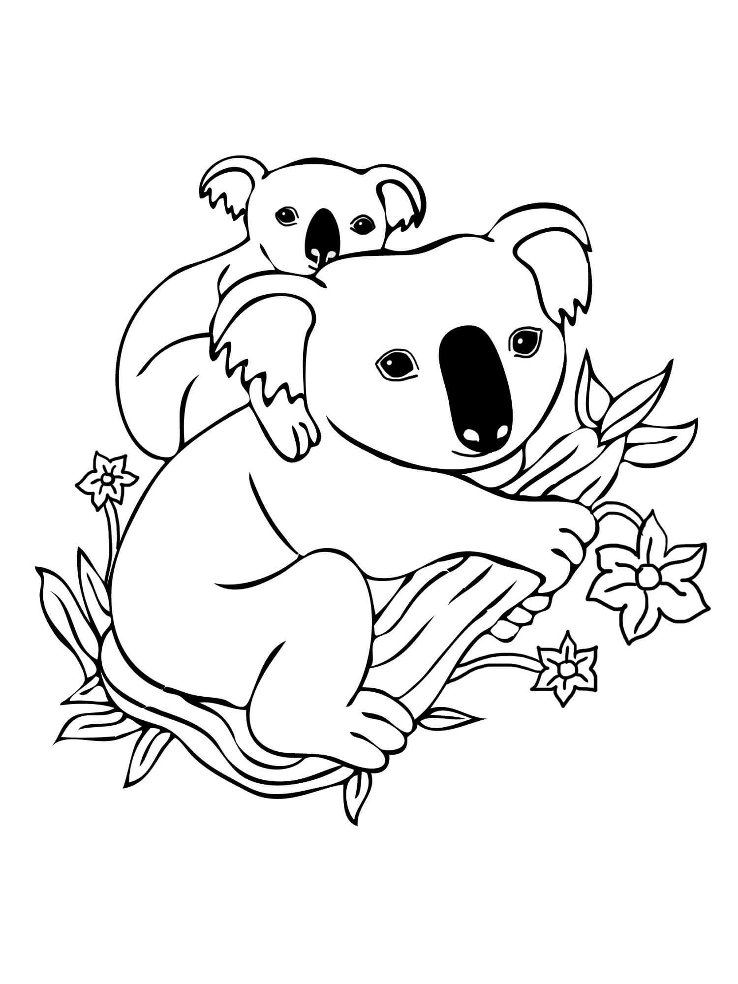 Mewarnai Gambar Koala Mewarnai Gambar - vrogue.co