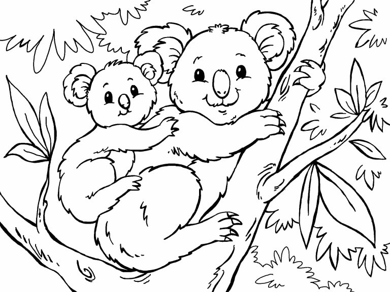 Mewarnai Gambar Koala Mewarnai Gambar - vrogue.co