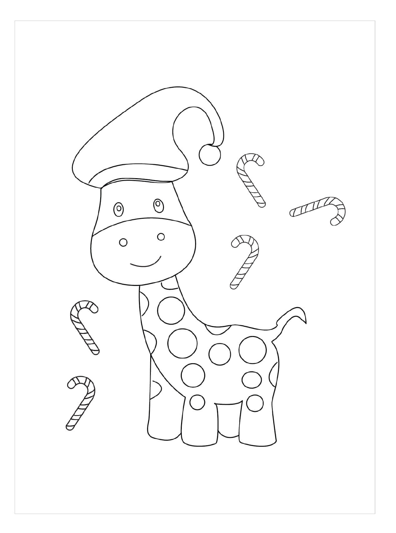 Jerapah di Natal