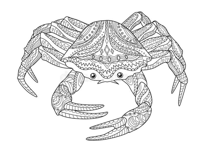 Kepiting adalah untuk Dewasa