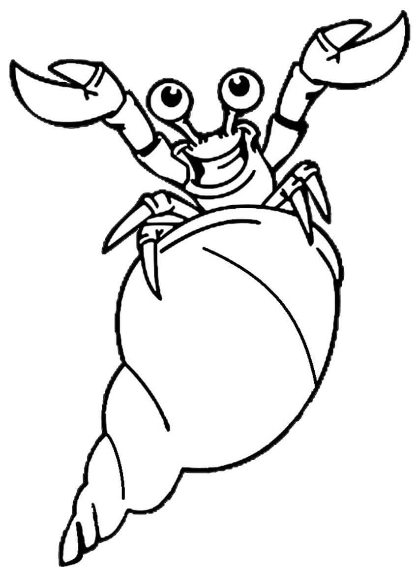 Kepiting Pertapa yang Lucu