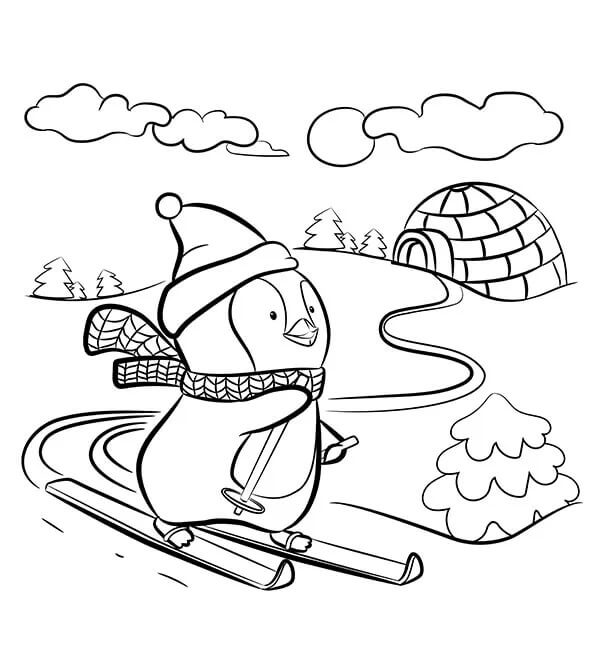 Penguin Bermain ski di Musim Dingin