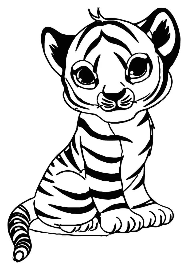 Harimau Duduk Kecil