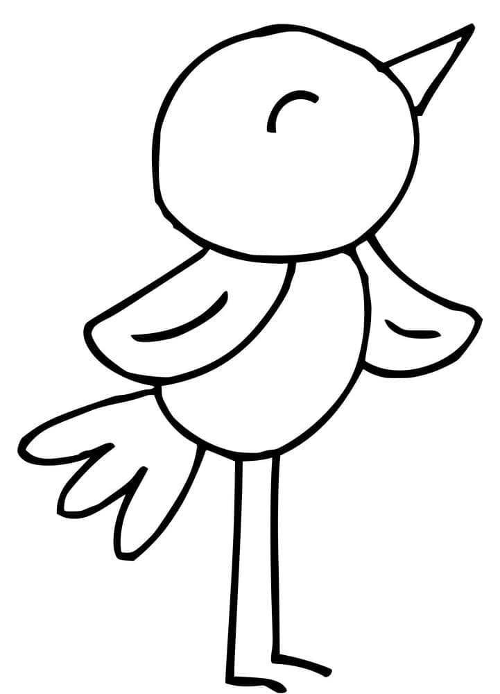 Cantik Burung