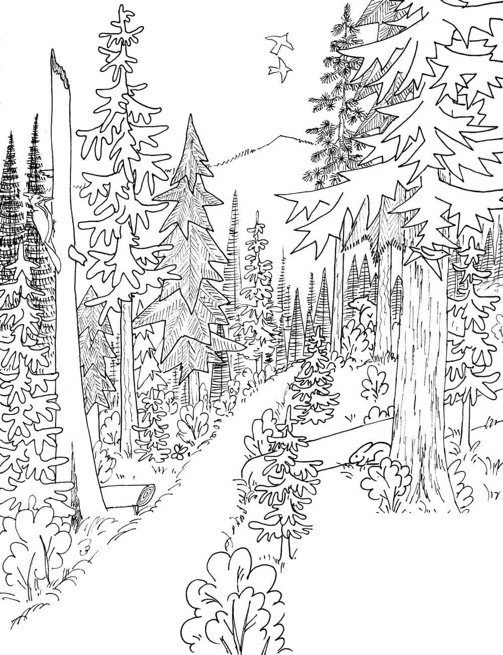 Landskap Hutan
