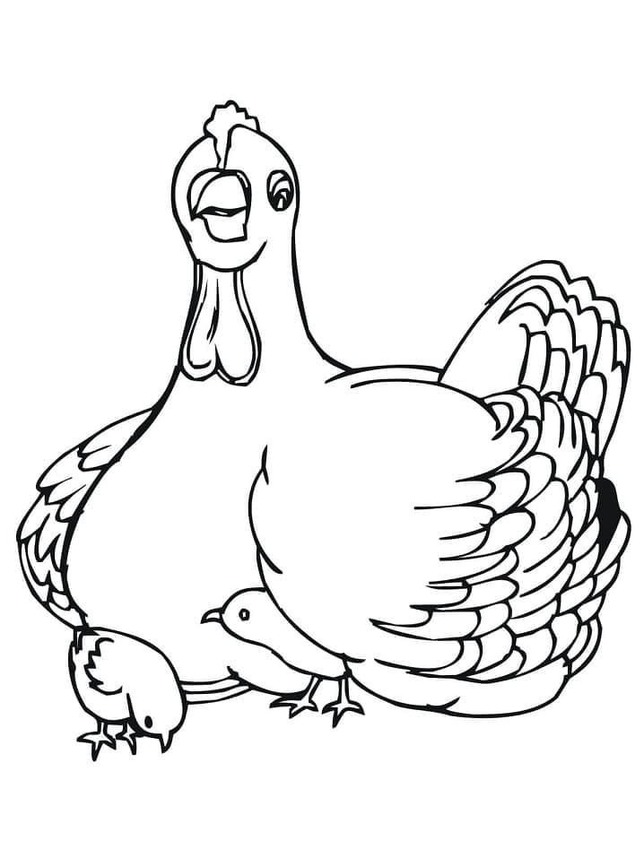 Ayam dengan Ayam