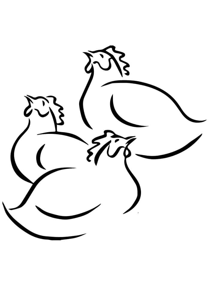 Ayam