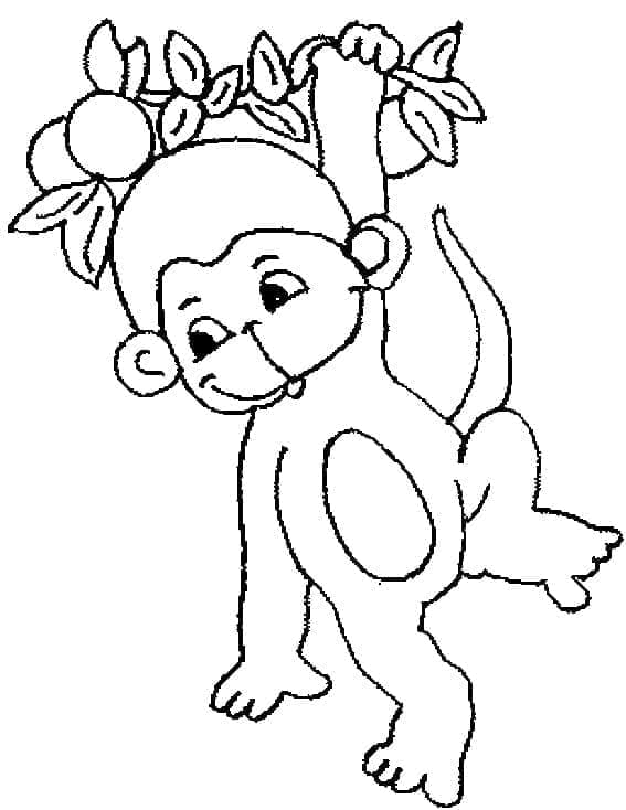 Bayi Monyet