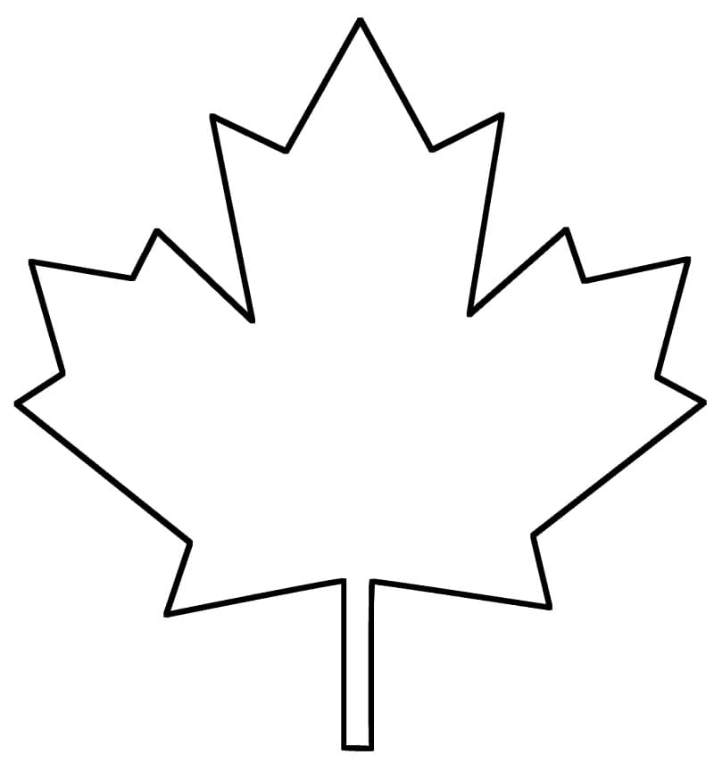 Daun Maple 7