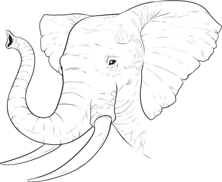 Kepala Gajah