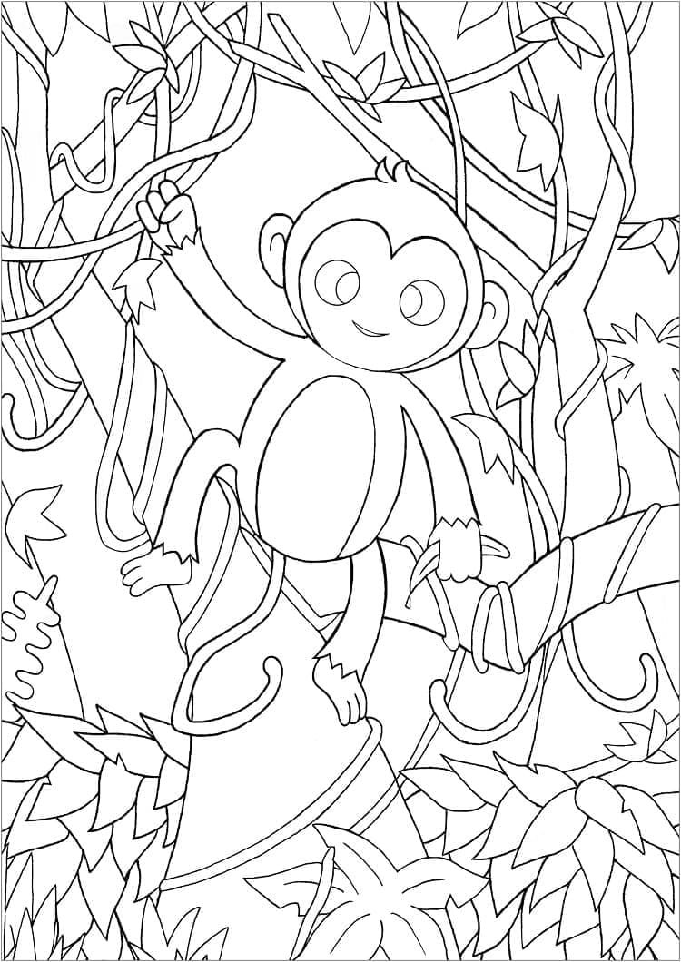 Monyet Lucu di hutan
