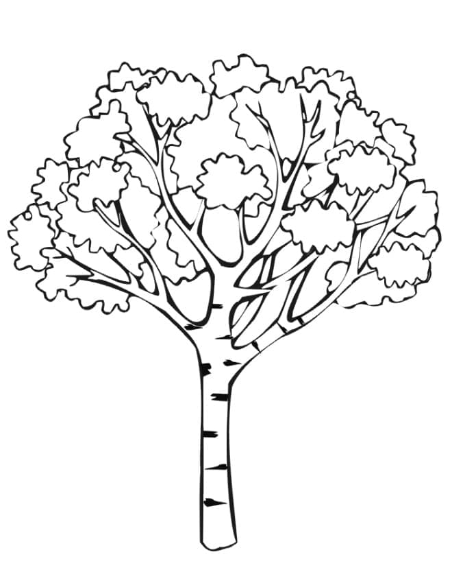 Pohon 2