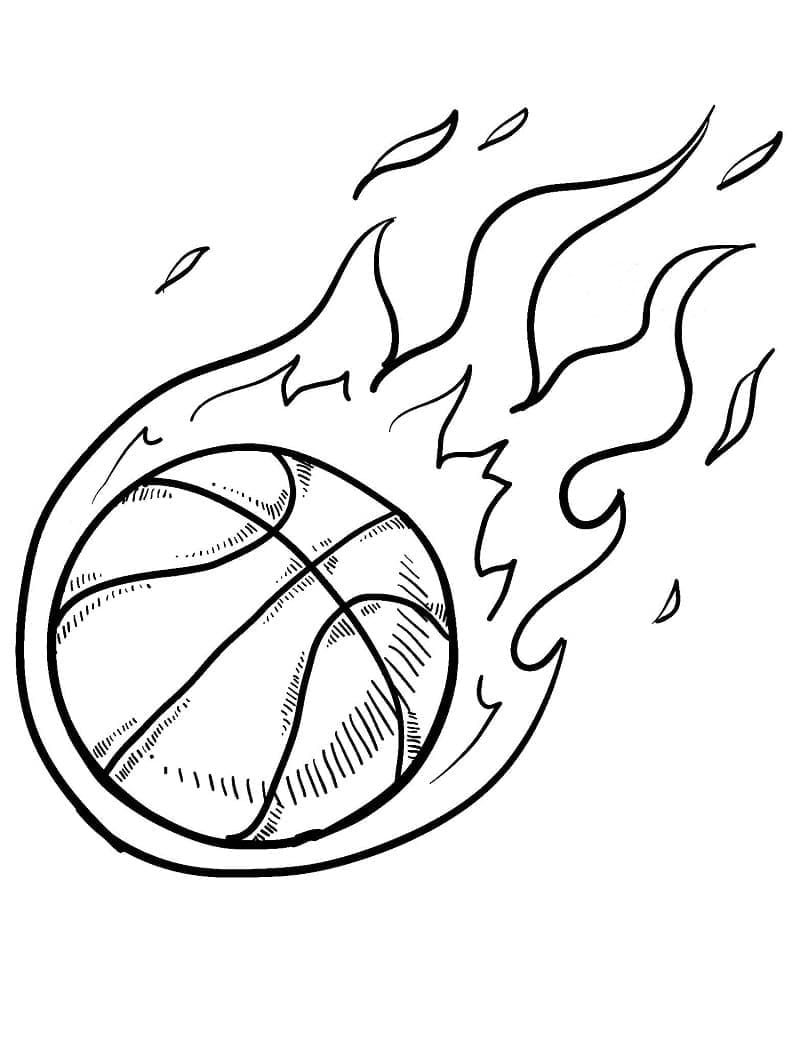 Bola Basket Api