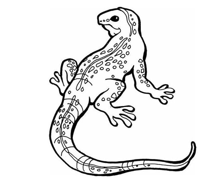 Gambar Kadal