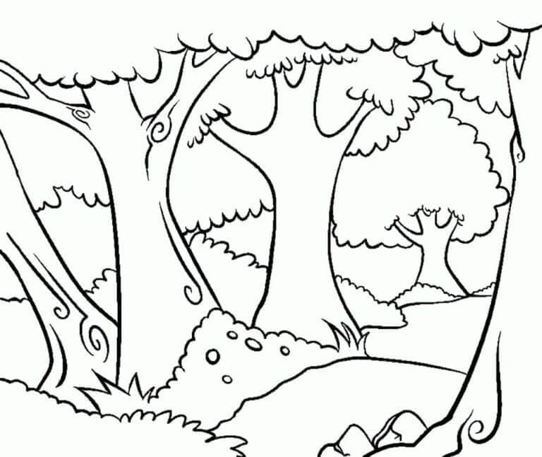 Hutan