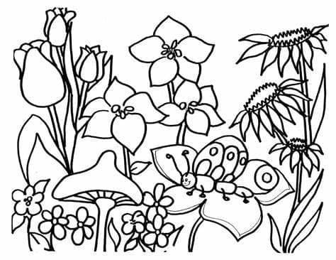 Berkebun Cantik