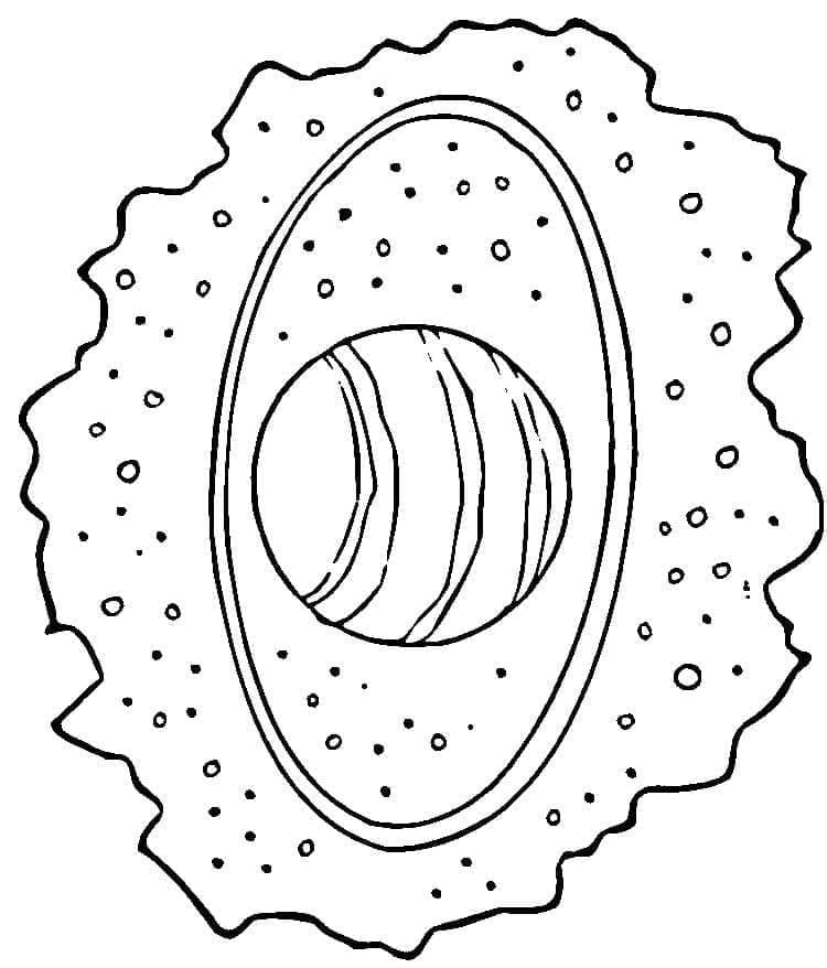 Gambar planet Uranus gratis