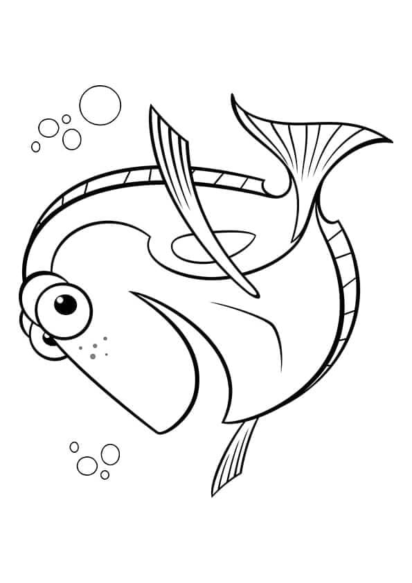 Ikan Dory Optimis