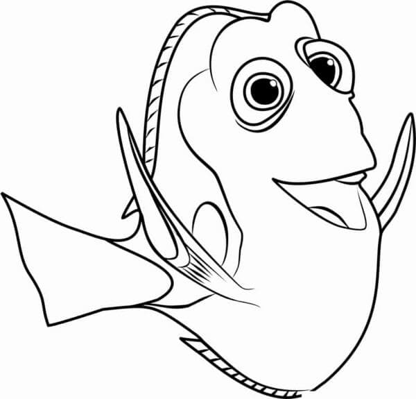 Ikan Dory Warna Biru Muda