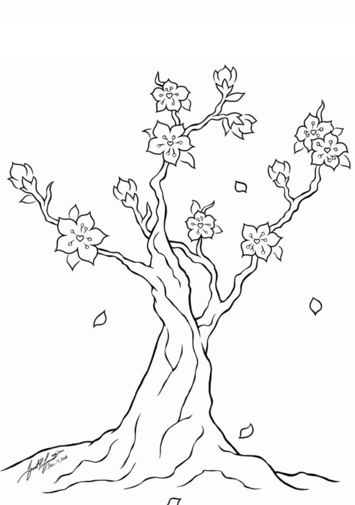 Pohon bunga sakura
