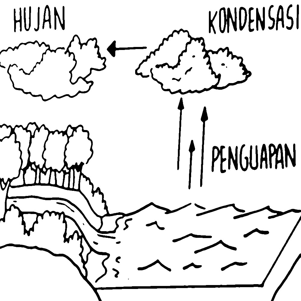 Menggambar Dan Mewarnai Siklus Air Drawing Easy Mostpopular Science ...