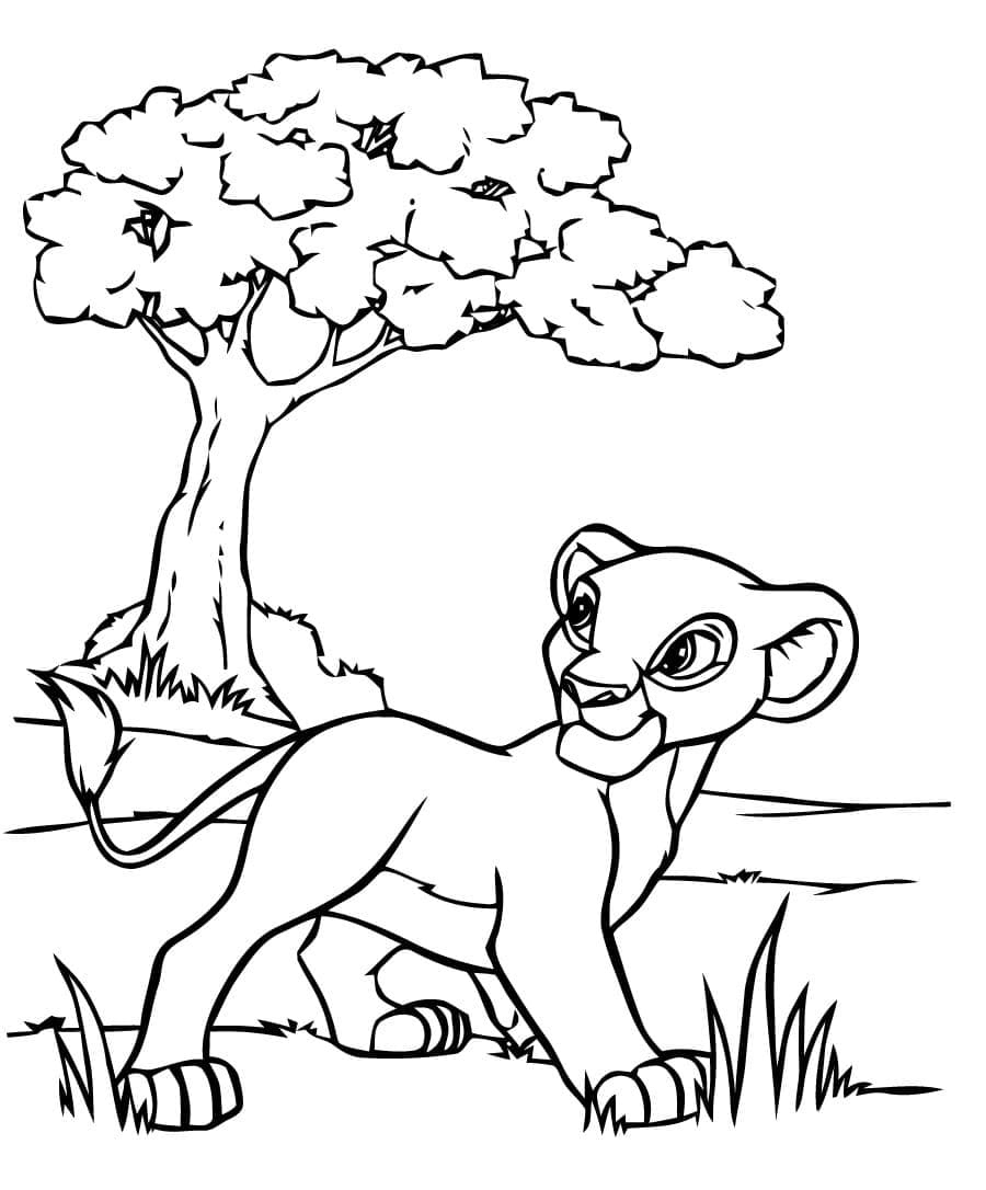 Simba berjalan di sabana