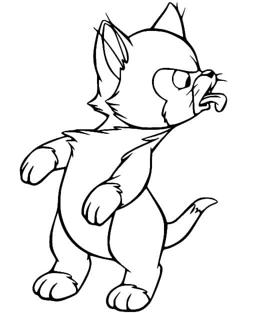 Figaro yang lucu