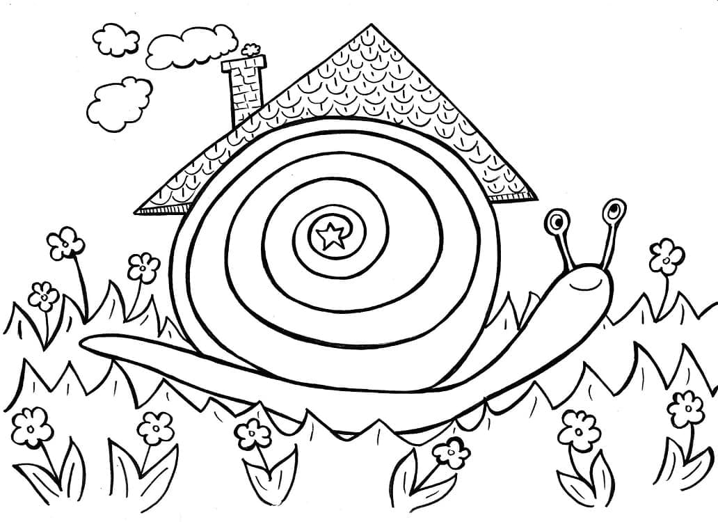 Siput dan Rumah