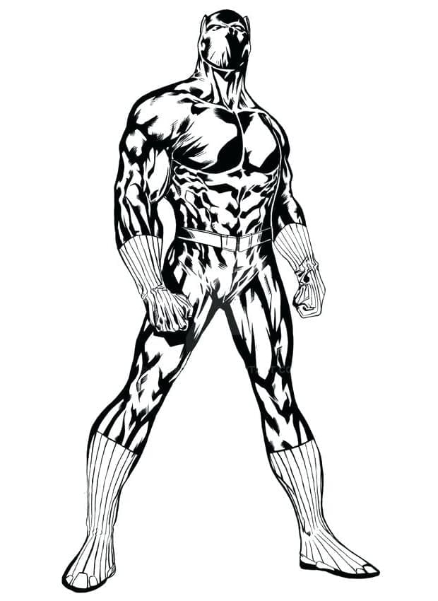 Black Panther Berdiri