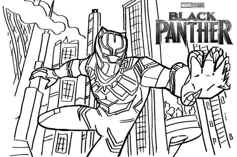 Black Panther Sedang Menyerang