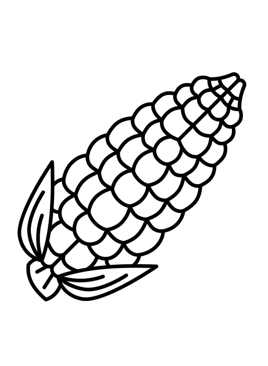 Gambar jagung bagus