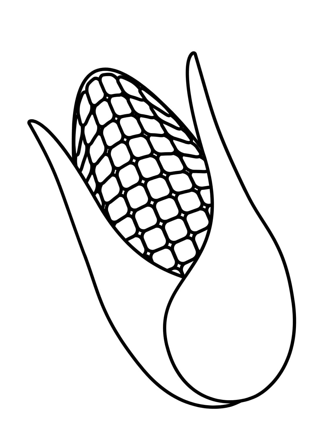 Lembar Warna Jagung