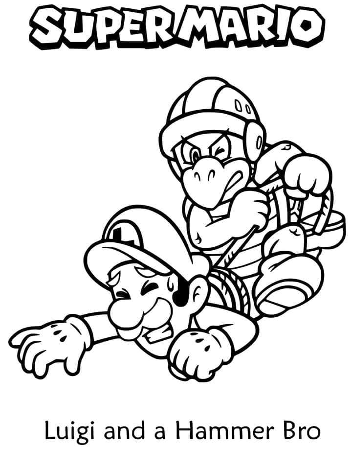 Luigi dan Hammer Bro