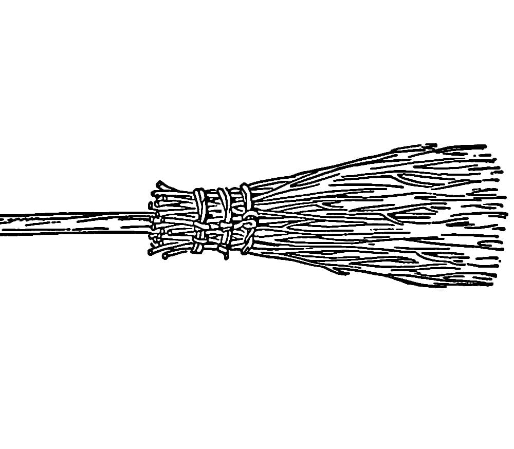 Detail sapu lidi