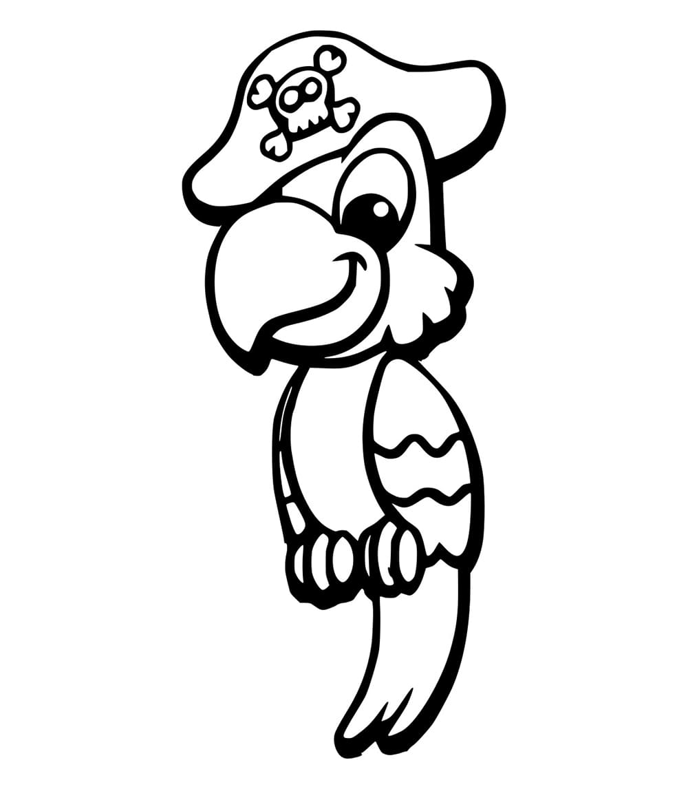 Burung Beo Bajak Laut