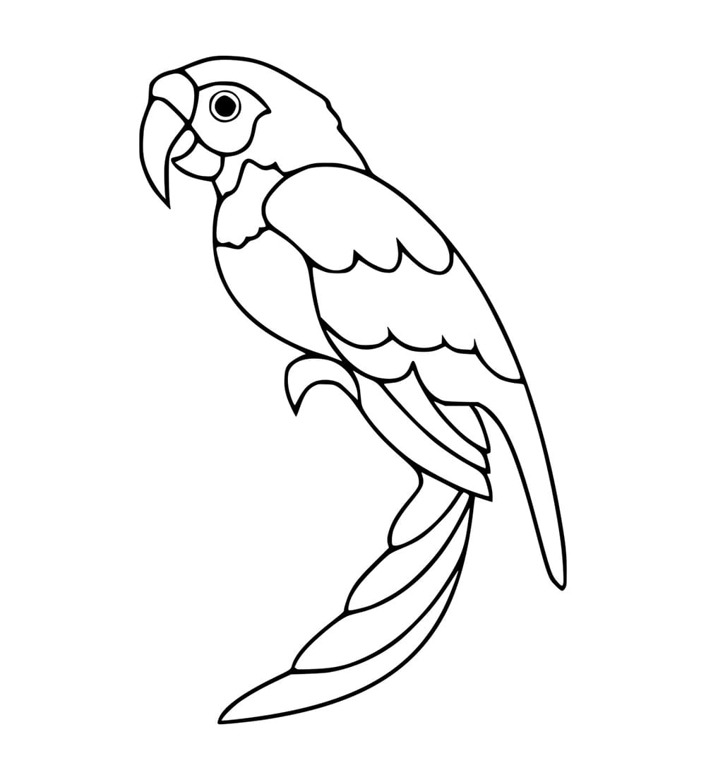 Burung Beo Mudah