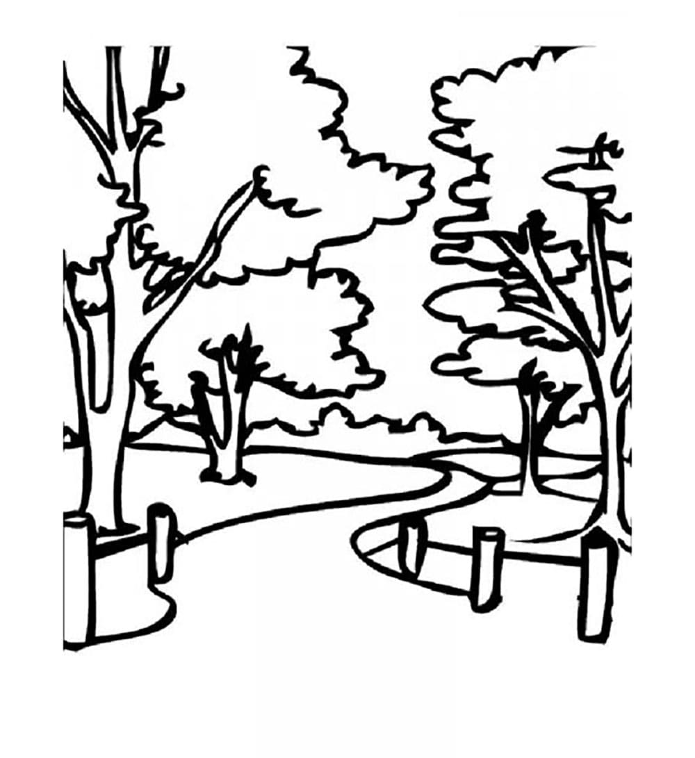 Pohon di Taman Kota