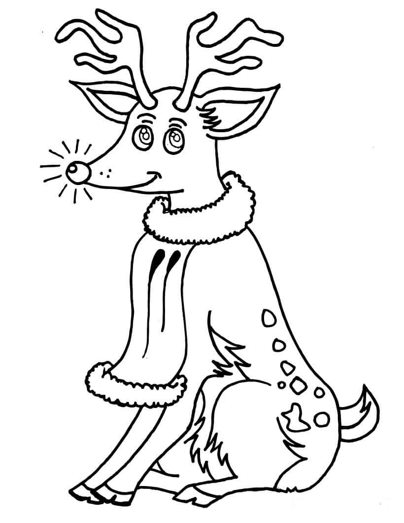 Rusa Kutub dengan Mata yang Indah