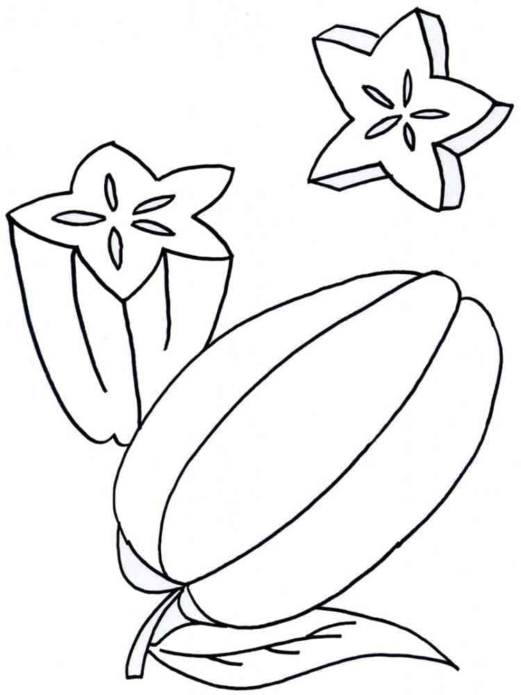 Bentuk Buah Bintang Sederhana