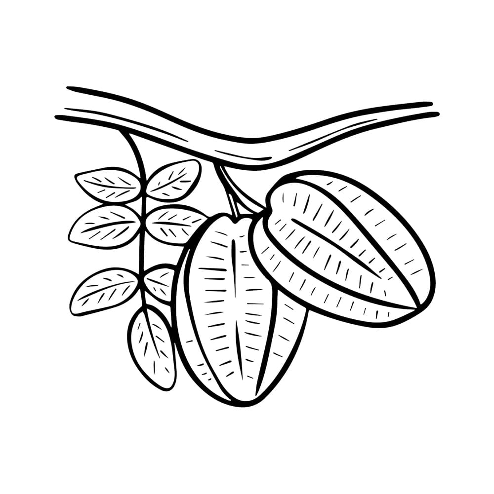 Buah belimbing di dahan