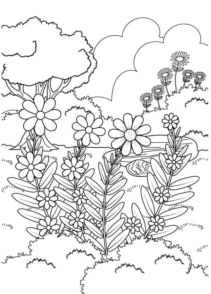 Kebun yang Menakjubkan