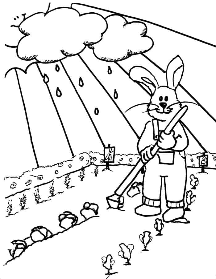 Kelinci di Kebun gratis